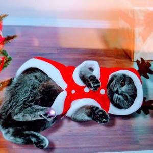 Meet your Posher, Mercedes